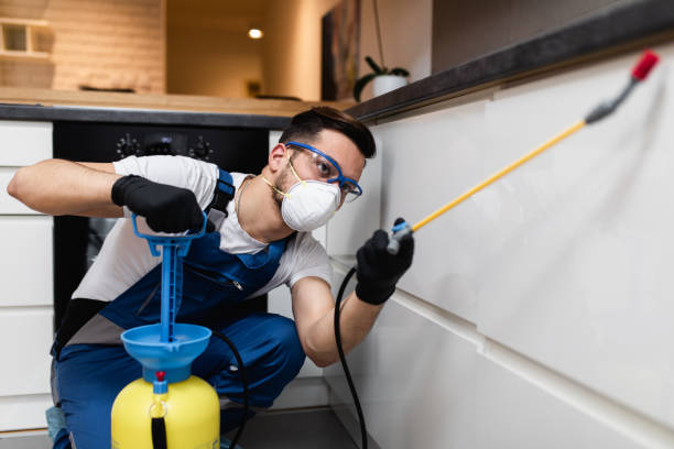 Pest Control for Restaurants in La Grulla, TX
