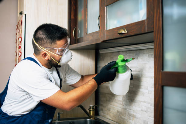 Best Affordable Pest Control Services  in La Grulla, TX