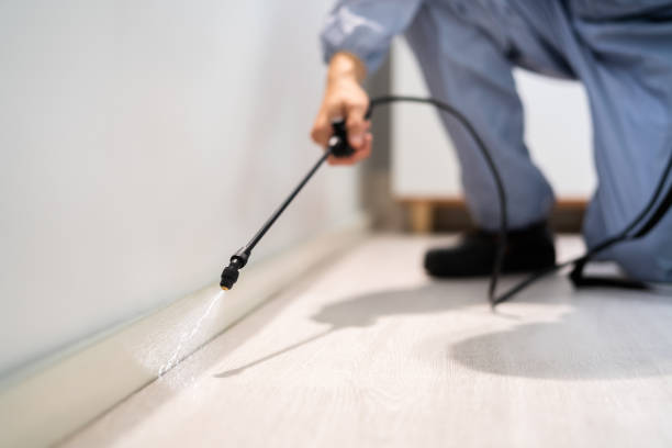 Professional Pest Control in La Grulla, TX