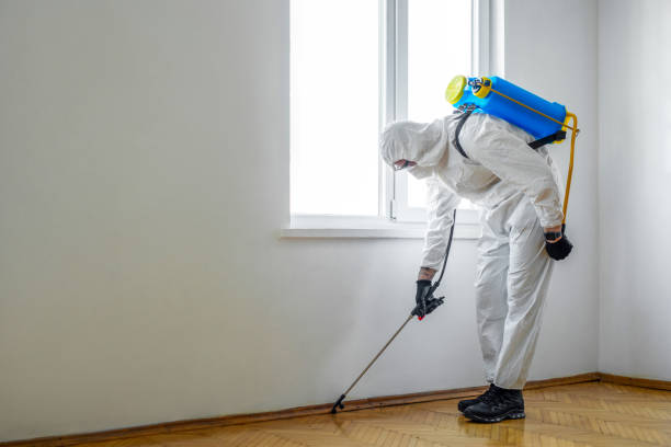 Best Residential Pest Control  in La Grulla, TX