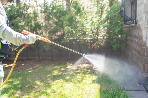 Best Insect Control  in La Grulla, TX