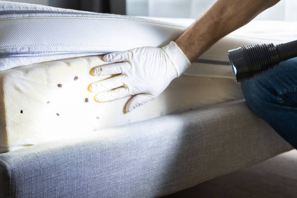 La Grulla, TX Pest Control Company