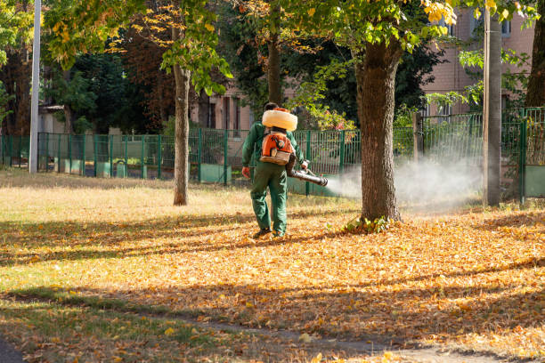 Best Exterminator Services  in La Grulla, TX