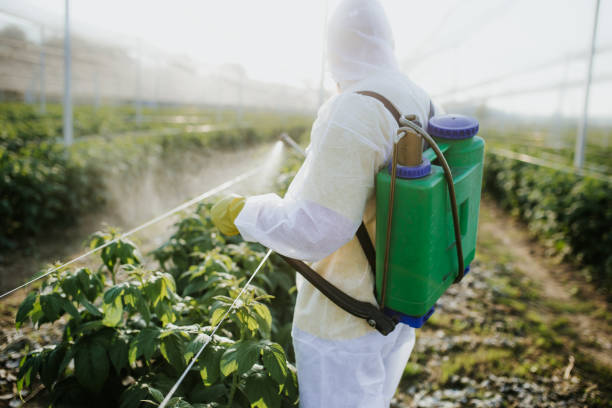Best Pest Control Near Me in La Grulla, TX